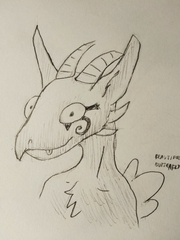 020_derp